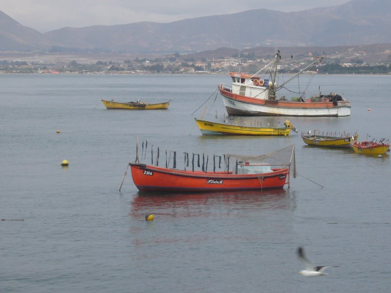 Port